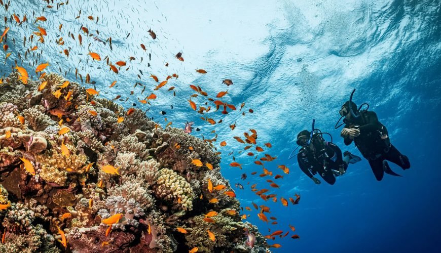 Sharm El Sheikh Travel Guide: Best Resorts, Diving & Activities